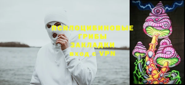 мдпв Ростов